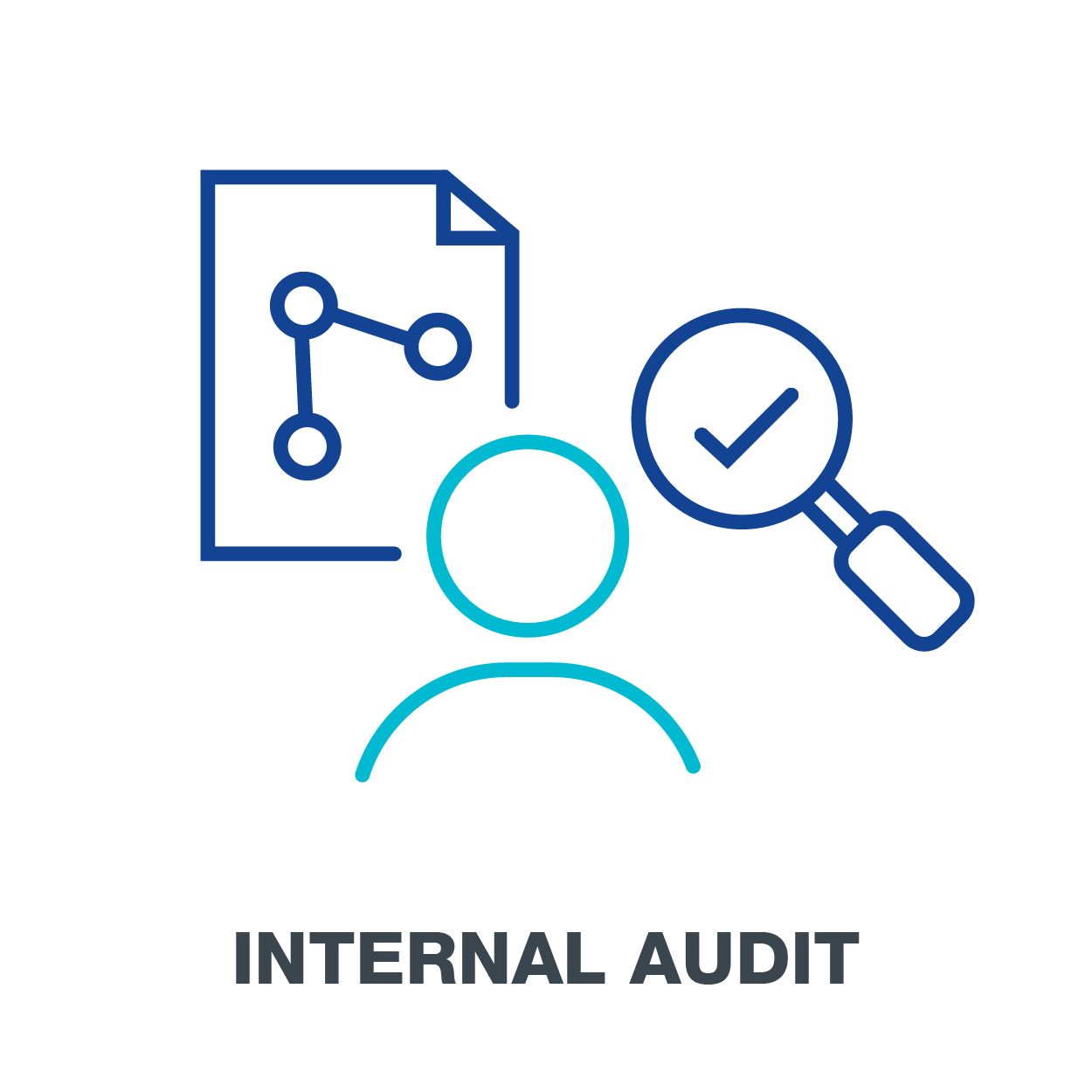 Internal Audit