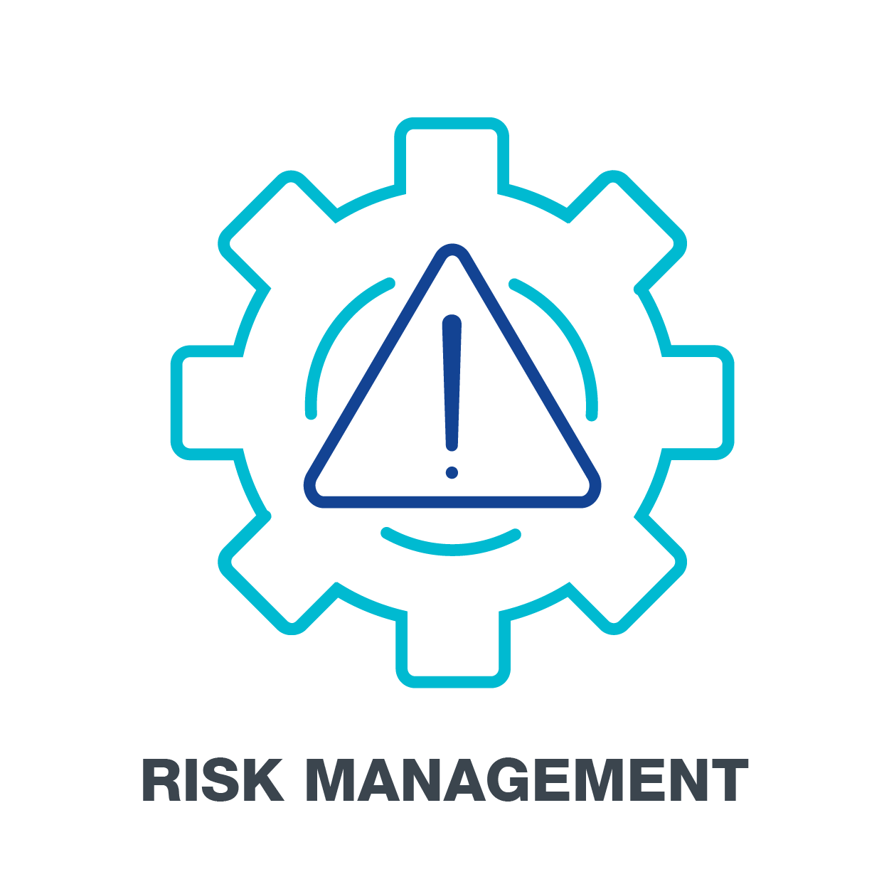 Risk Management Icon