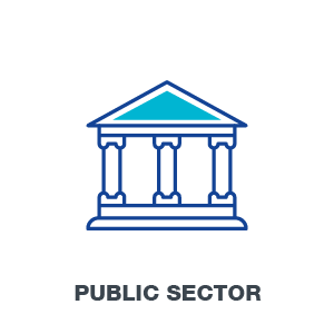 Public Sector Icon